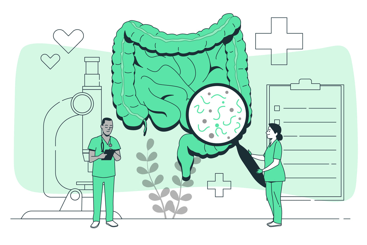 The Importance of Gut Health: Why It Matters for Your Overall Well-being