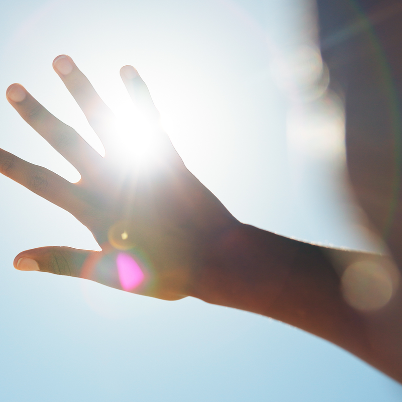 2. Environmental Stressors & Harsh Lighting