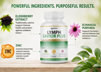 Lymph Savior Plus Immune & Lymphatic Support Supplement - 60 Capsules