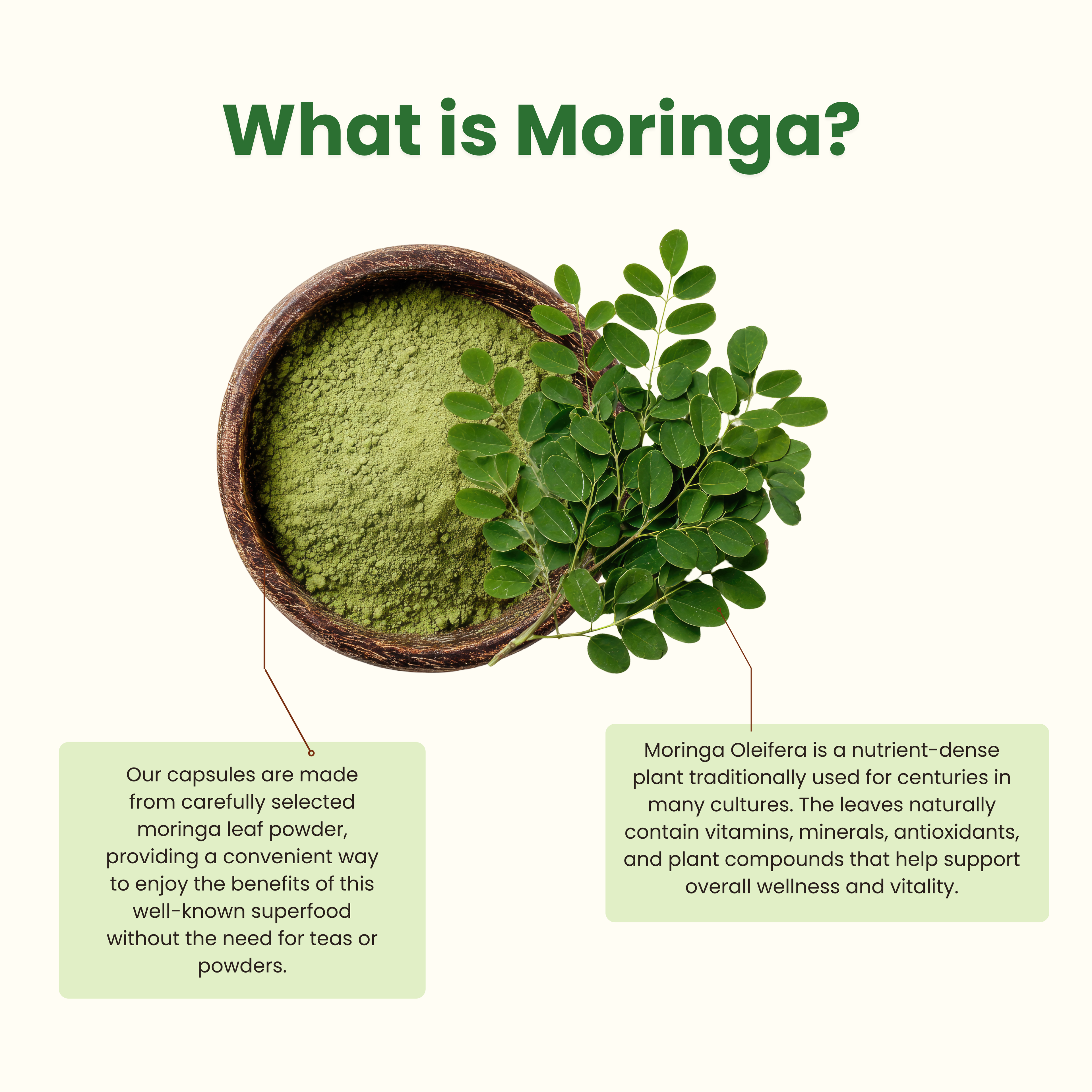 Moringa Capsules 100% Pure, Supports Overall Wellness Supplement - 60 Capsules