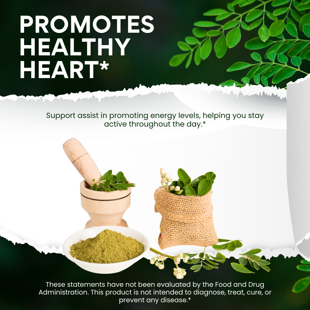 Moringa Capsules 100% Pure, Supports Overall Wellness Supplement - 60 Capsules