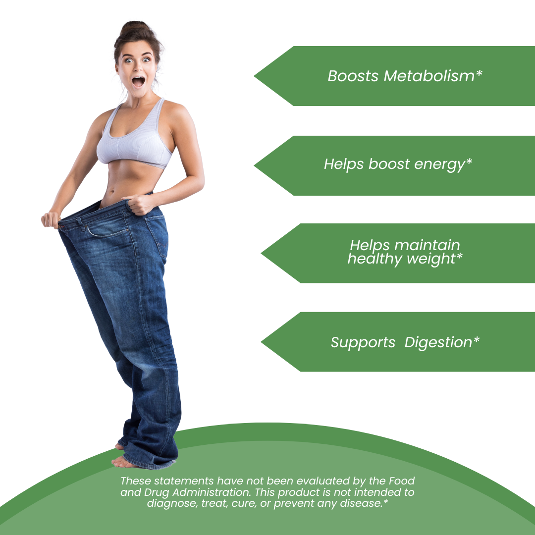 Lean Body Tonic All Natural Helps Metabolism Supplement 240g Powder - 12 Bottles