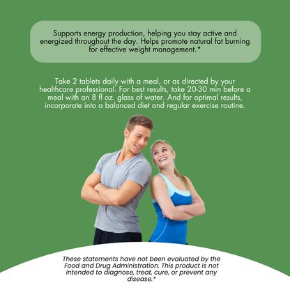 Lean Body Tonic All Natural Helps Metabolism Supplement 240g Powder - 12 Bottles