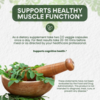 Moringa Capsules 100% Pure, Supports Overall Wellness Supplement - 60 Capsules