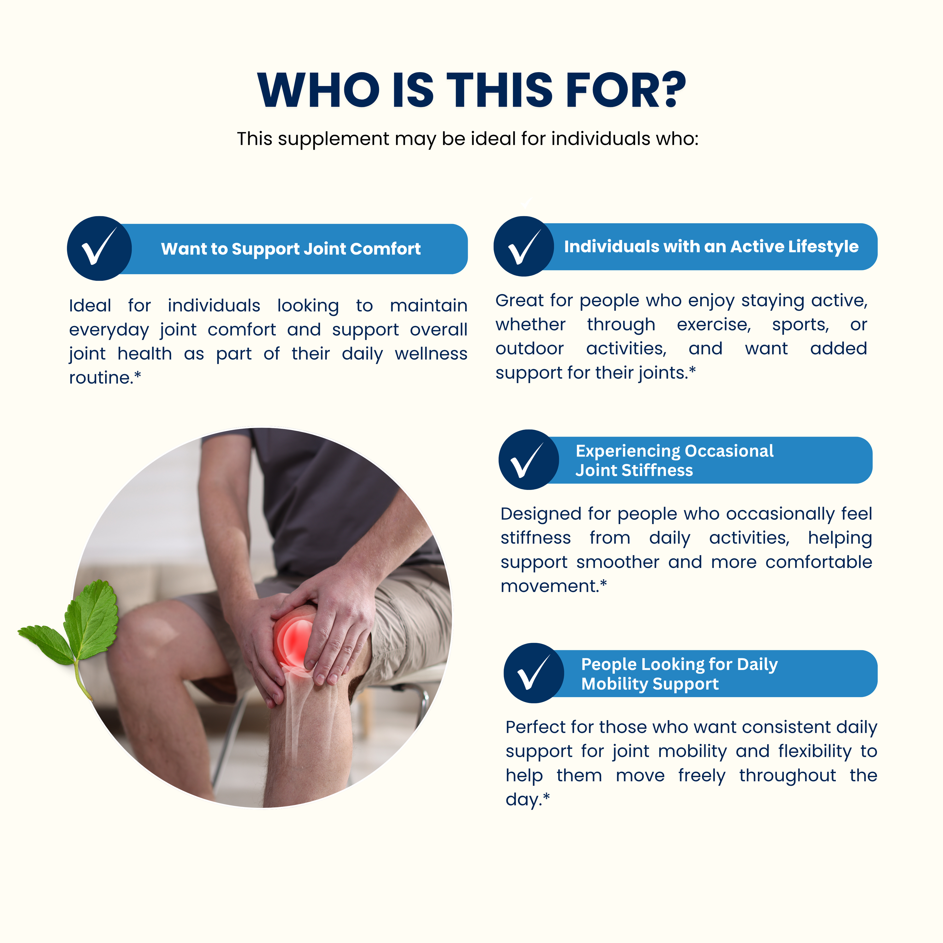 Turmeric w/ BioPerine Supports Joint Comfort & Mobility Supplement - 60 Capsules