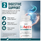 SilActiv Healthy Weight Support | Energy & Digestive Wellness Formula | 60 Capsules - 10 Bottles