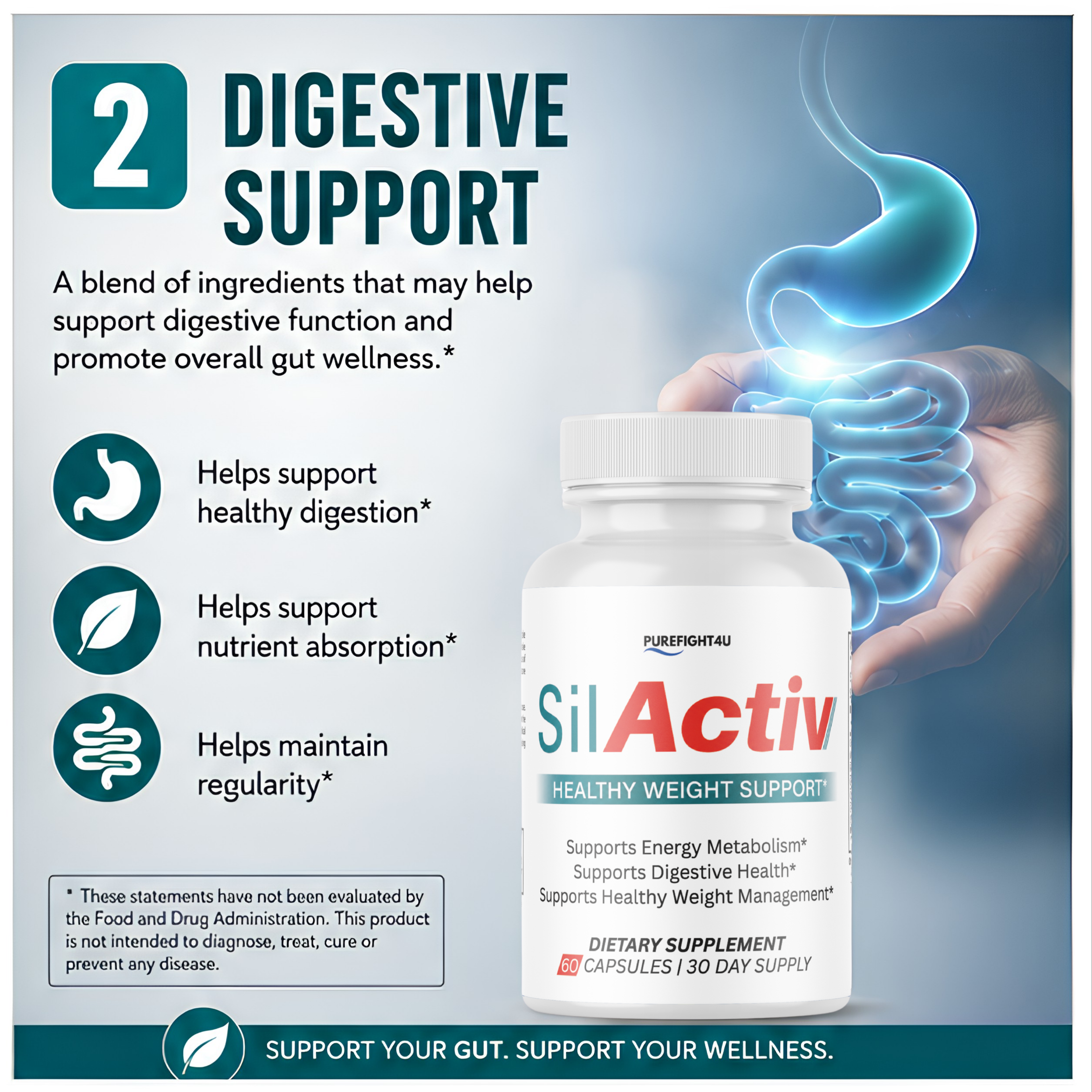 SilActiv Healthy Weight Support | Energy & Digestive Wellness Formula | 60 Capsules - 10 Bottles