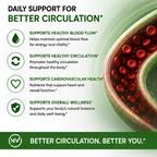 Glycomax - Blood Circulation Support Formula Supplement | 60 Capsules
