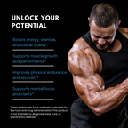 Alpha Extreme Advanced Male Support - 4 Bottles 360 Capsules