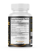 PUREFIGHT4U Turmeric with Ginger, 500 mg Turmeric & 100 mg Ginger Extract, Joint Wellness Support, 60 Capsules