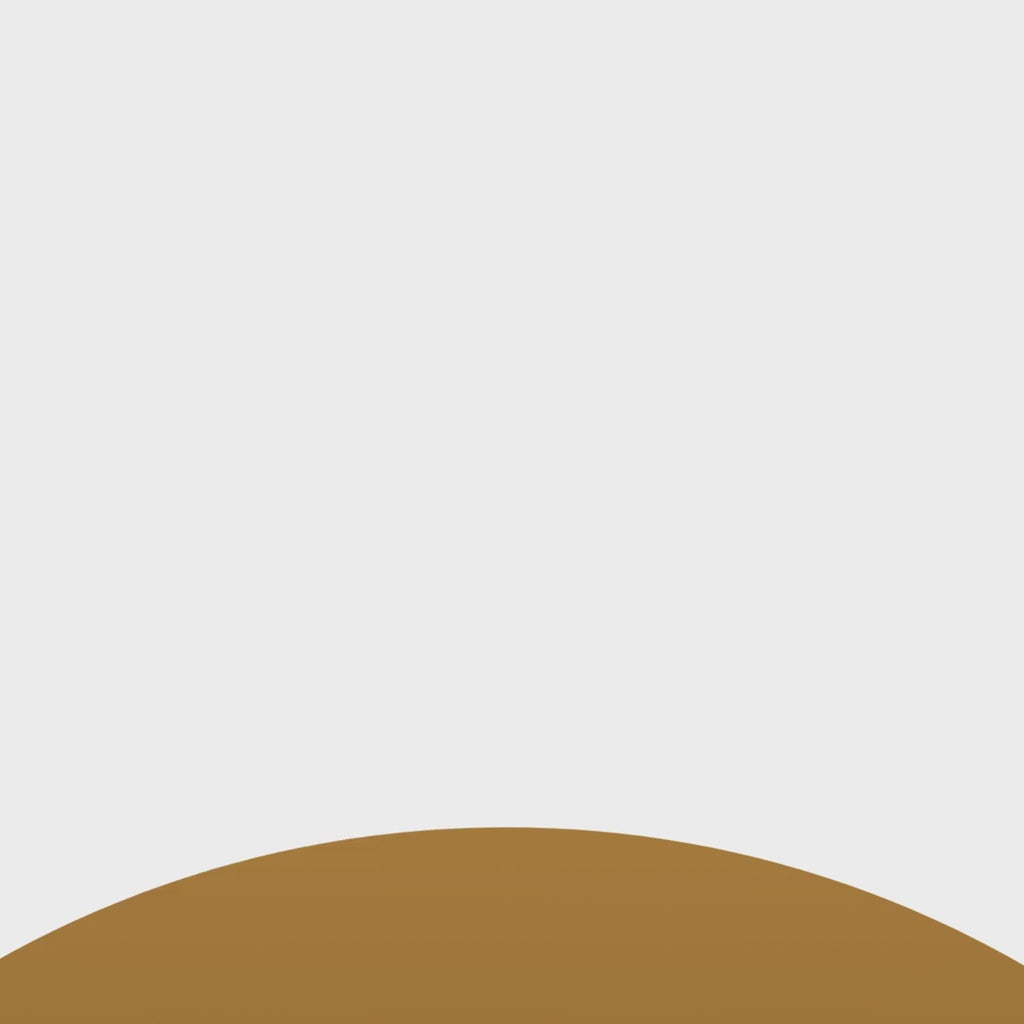 Fungus Hack Plus Probiotic Internal Fungus Fighter- Antifungal Nail Pill,60 Caps