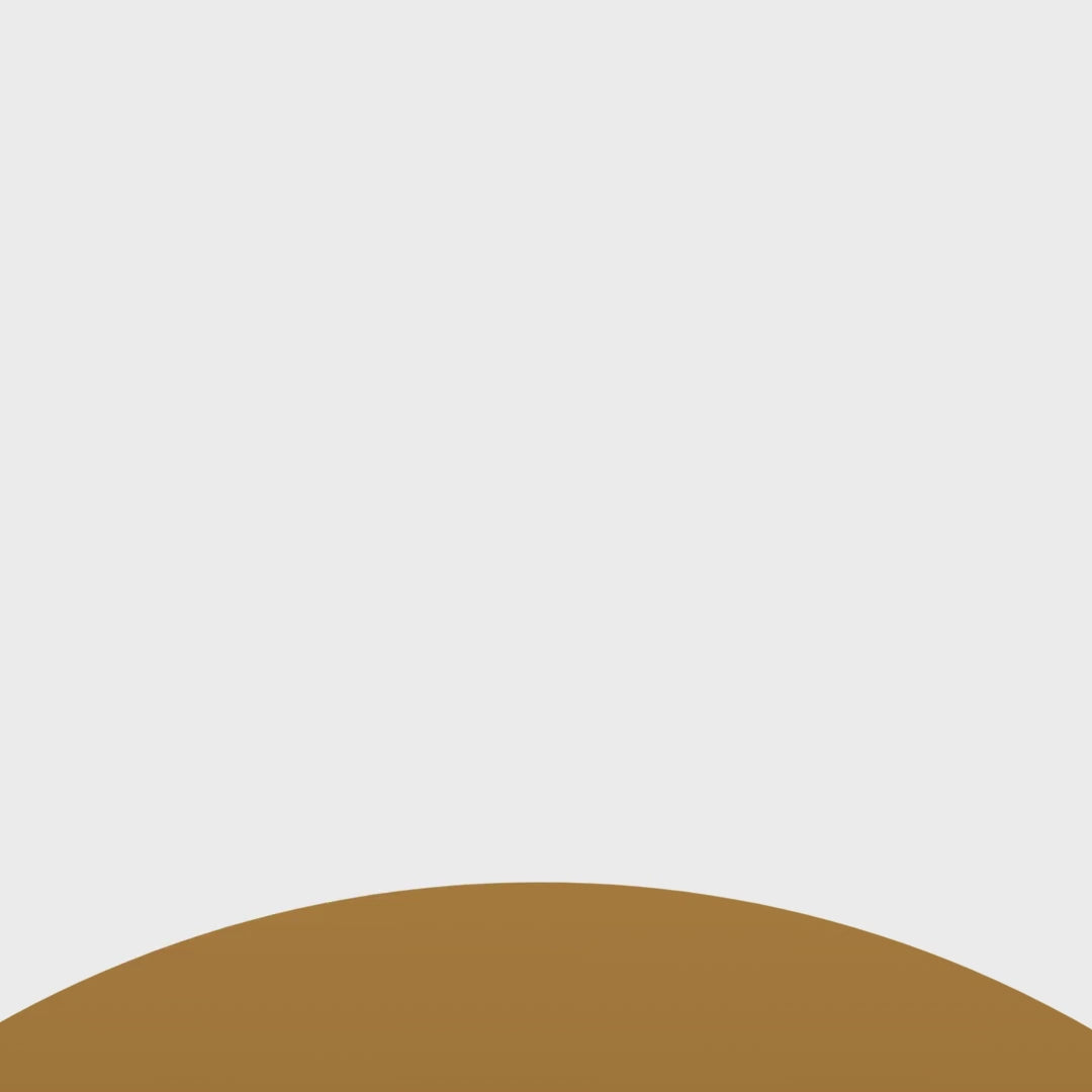 Fungus Hack Plus Probiotic Internal Fungus Fighter- Antifungal Nail Pill,60 Caps