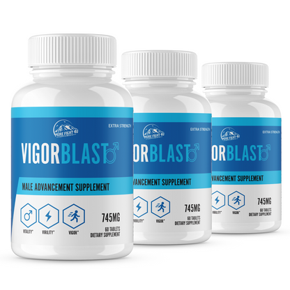 Vigor Blast Male Advancement for Strength, Endurance, & Vitality 3 Bottles 180 Tablets