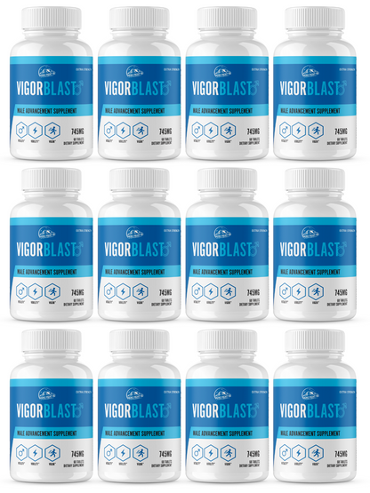 Vigor Blast Male Advancement for Strength, Endurance, & Vitality 12 Bottles 720 Tablets