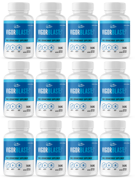 Vigor Blast Male Advancement for Strength, Endurance, & Vitality 12 Bottles 720 Tablets