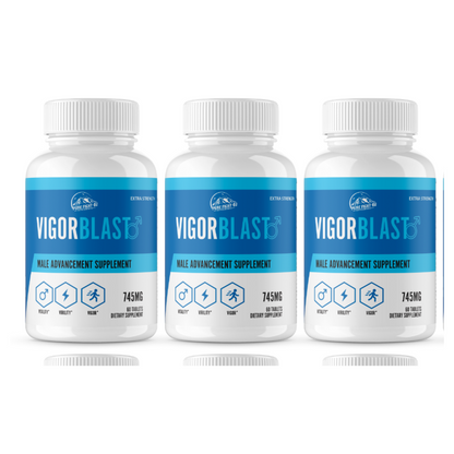 Vigor Blast Male Advancement for Strength, Endurance, & Vitality 12 Bottles 720 Tablets